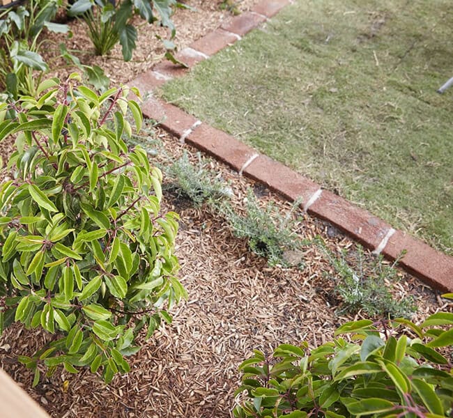 DIY brick garden bed edging using PGH bricks