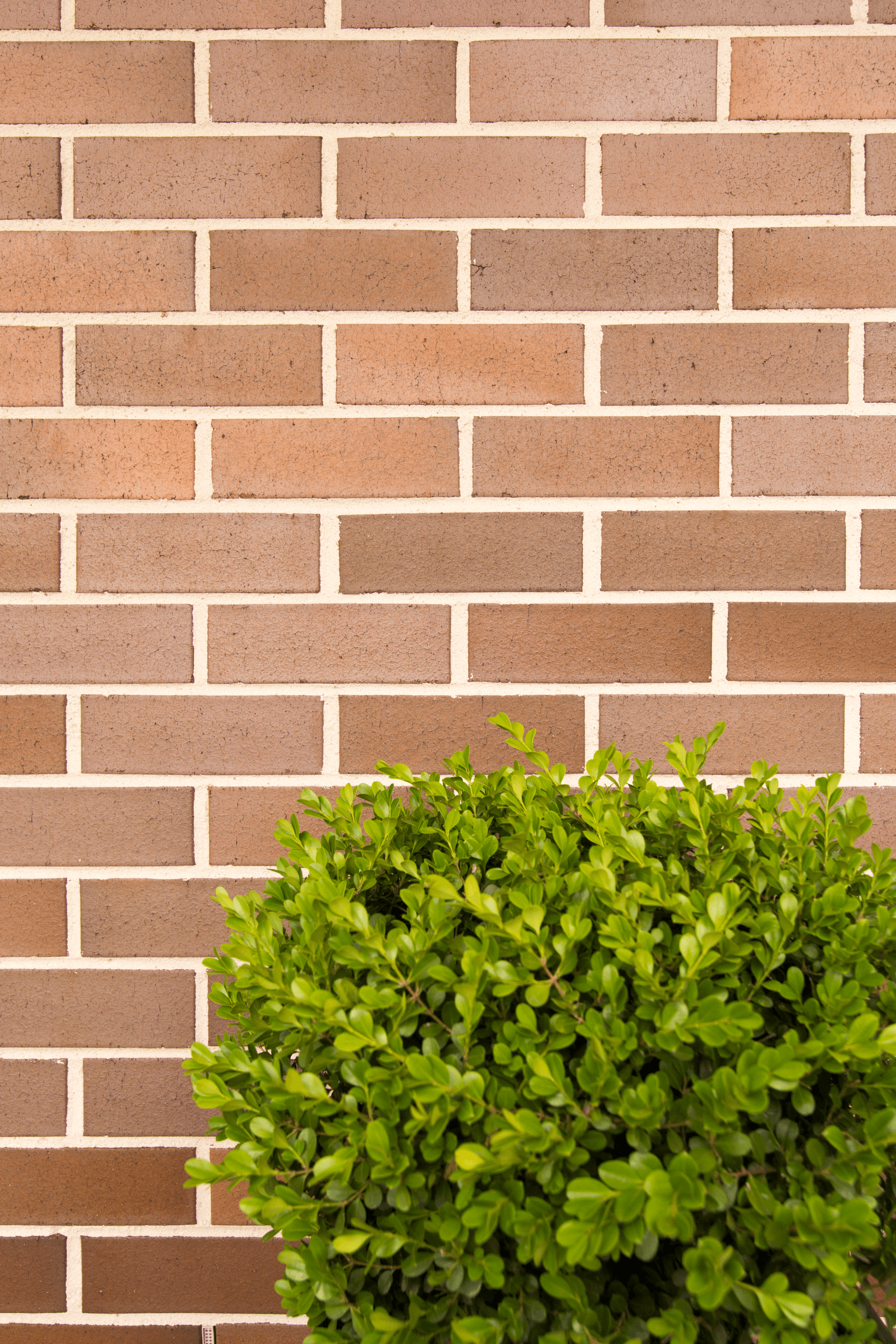 Garnet brick from PGH in Opaline range