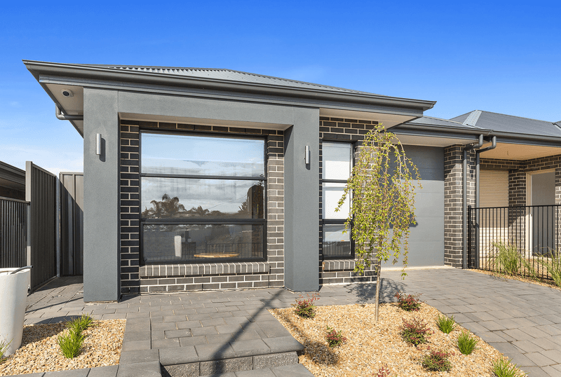 PGH Liquorice brick from the Connoisseur range