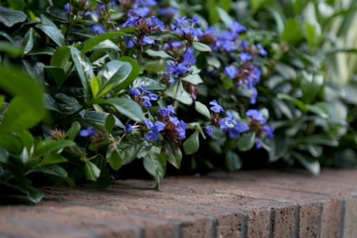 PGH Bricks is used in this Award winning project to bring in warmth and texture to the Greenery Garden Centre.