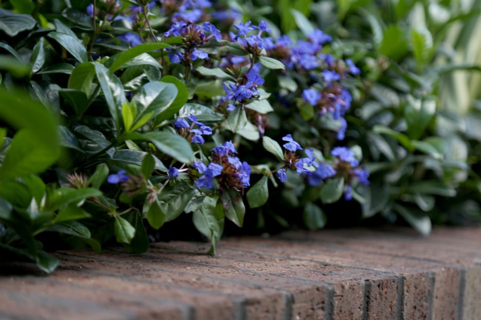 PGH Bricks is used in this Award winning project to bring in warmth and texture to the Greenery Garden Centre.