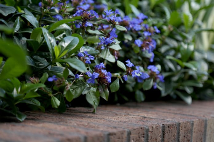 PGH Bricks is used in this Award winning project to bring in warmth and texture to the Greenery Garden Centre.