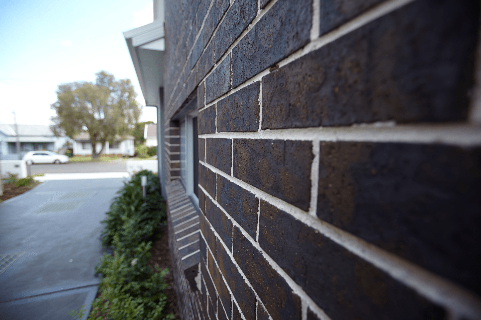Blackheath brick from PGH in Highlands range, The Cooperage TKD Architects