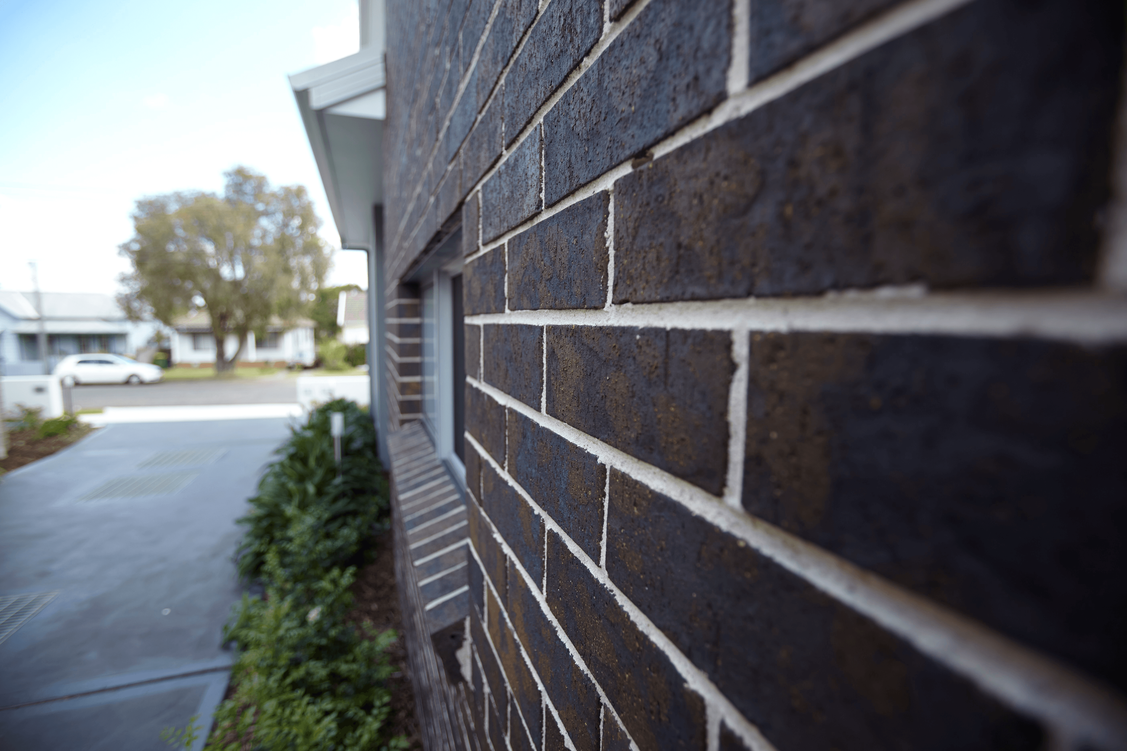 Blackheath brick from PGH in Highlands range, The Cooperage TKD Architects