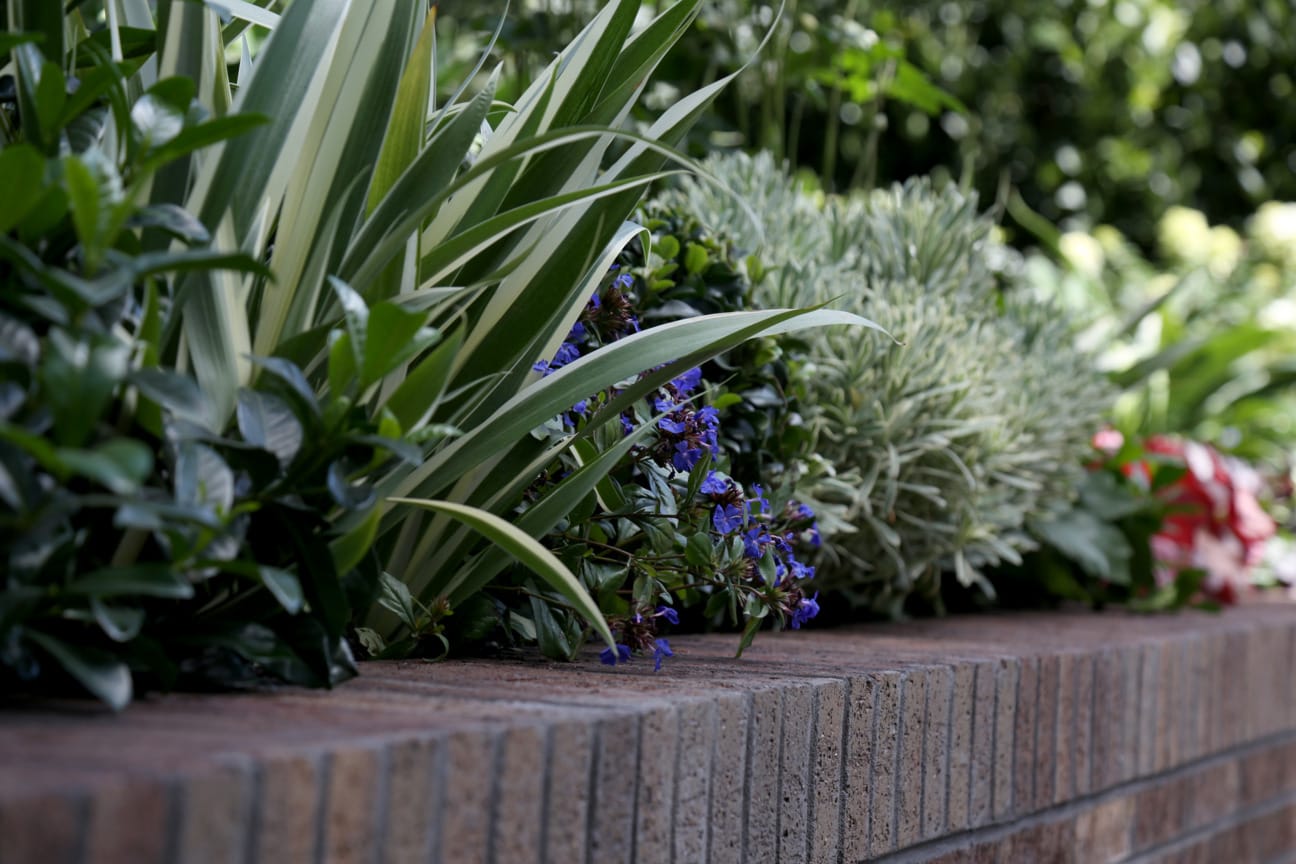 The Greenery Garden