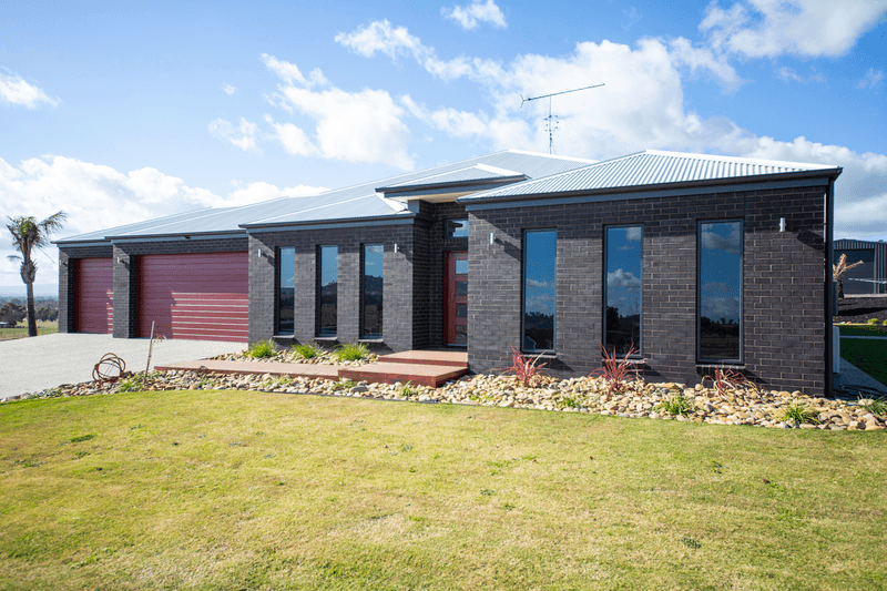 Liquorice brick from the PGH Bricks Connoisseur range used on home