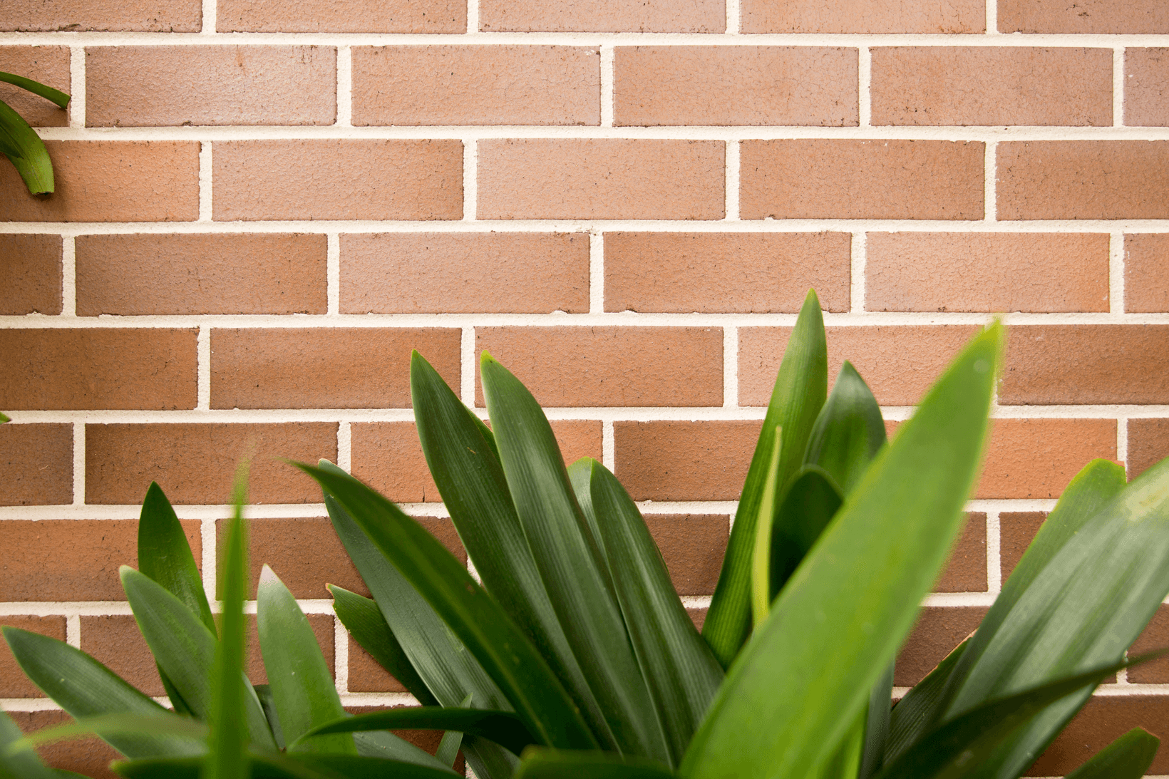 Garnet brick from PGH in Opaline range